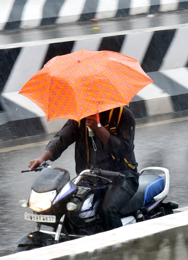 Heavy rains in Nellore District Photos - Sakshi11