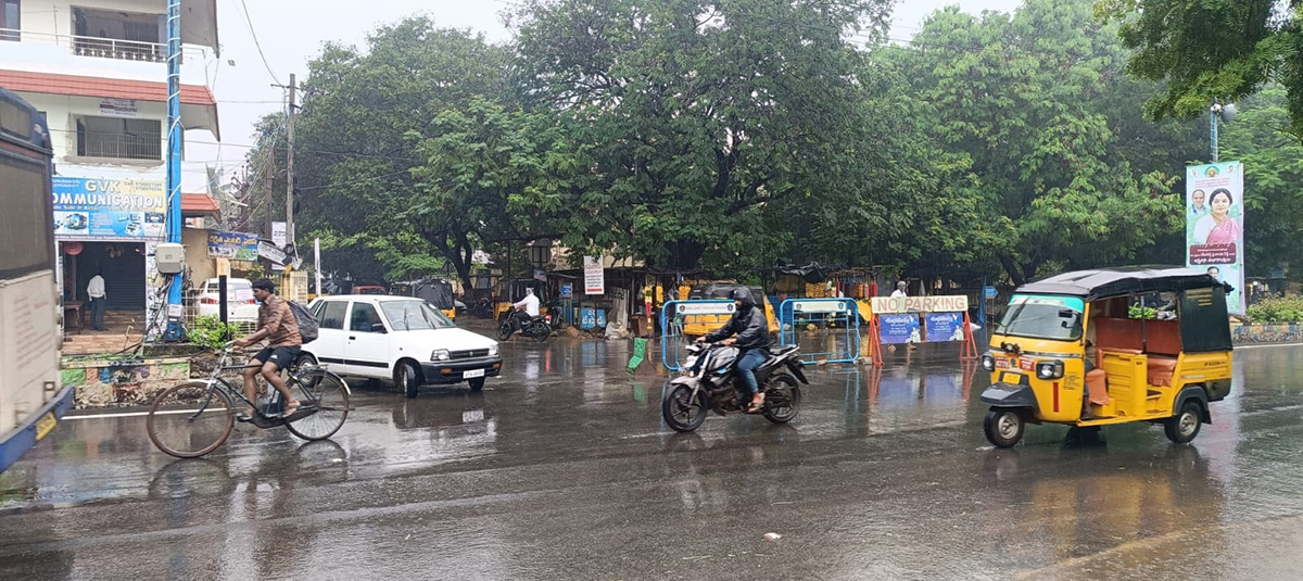 Heavy rains in Nellore District Photos - Sakshi24