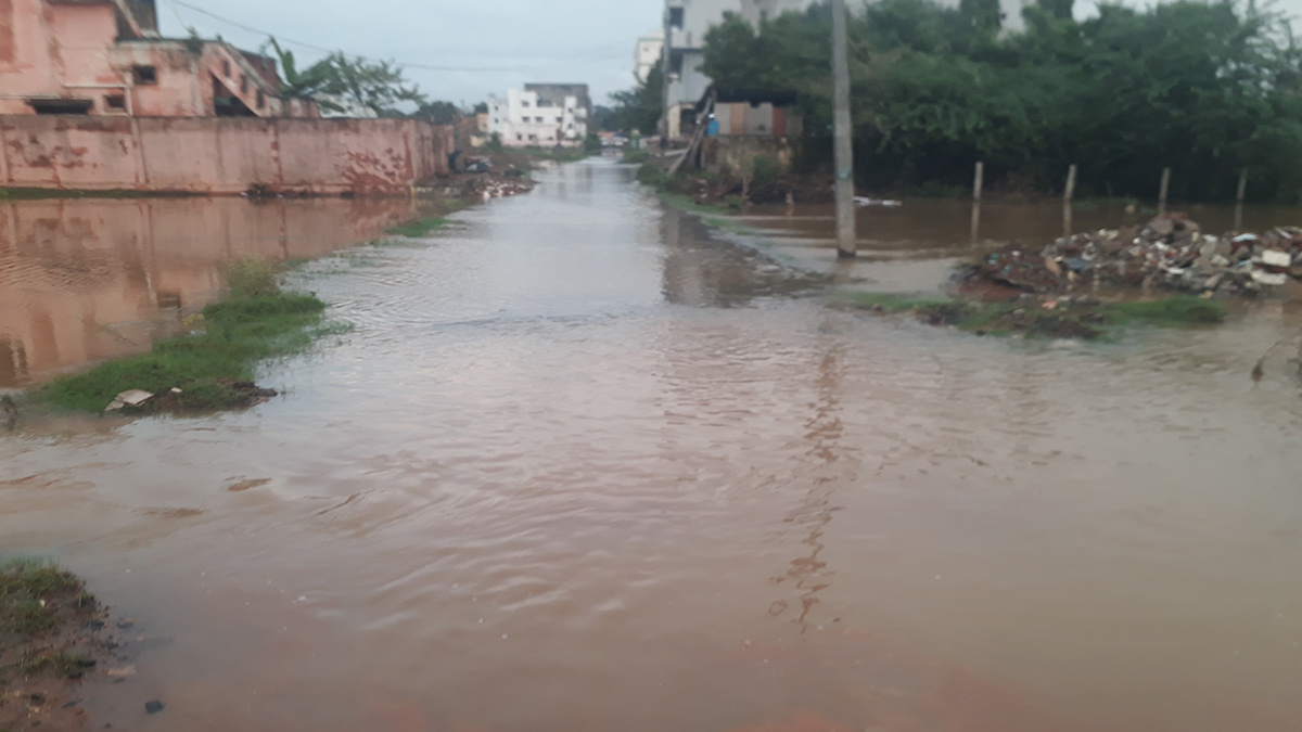 Heavy rains in Nellore District Photos - Sakshi26