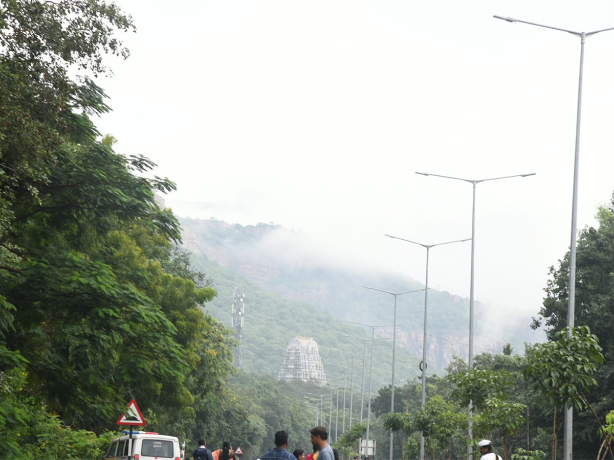 Tirumala Tirupati Temple Today Heavy Fog Photos - Sakshi11