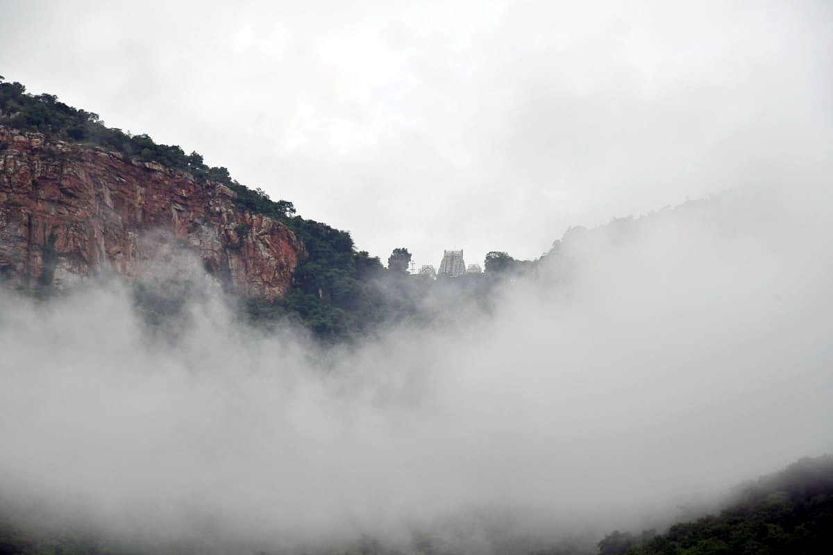 Tirumala Tirupati Temple Today Heavy Fog Photos - Sakshi2