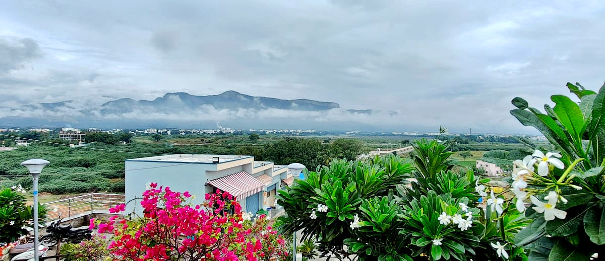 Tirumala Tirupati Temple Today Heavy Fog Photos - Sakshi3