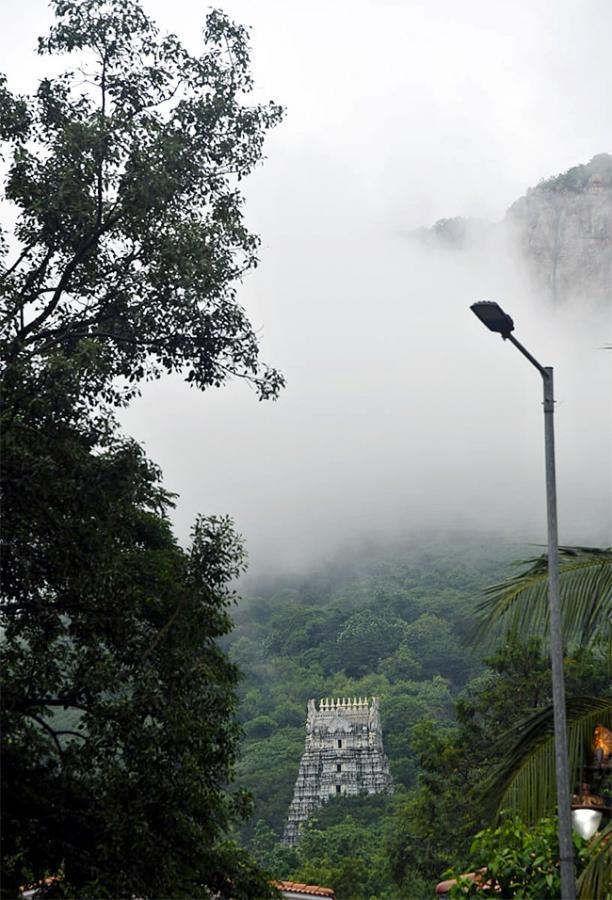 Tirumala Tirupati Temple Today Heavy Fog Photos - Sakshi7