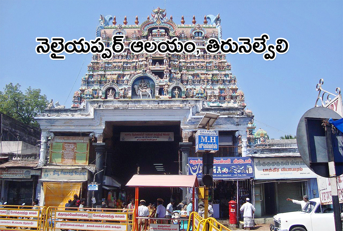 Shiva Temples in India that Every Shiva Devotee should Visit - Sakshi2