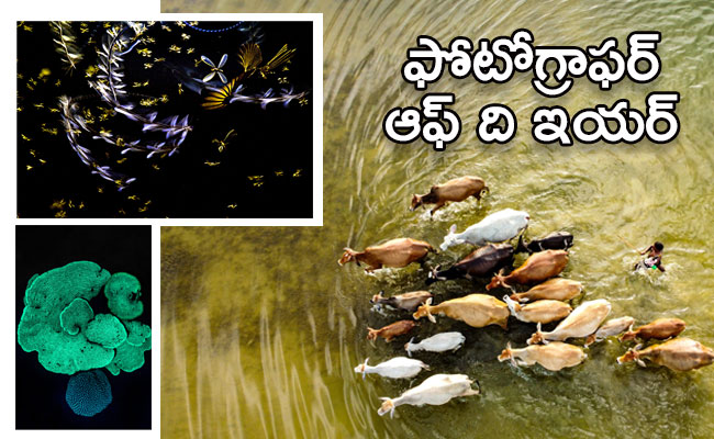 Environmental Photographer Of The Year 2023 Photos - Sakshi1