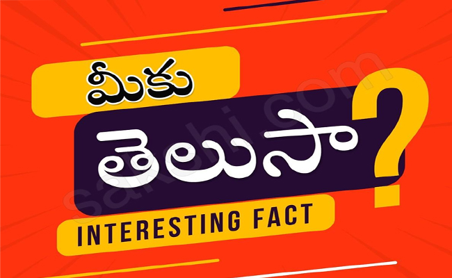 Intresting Things You Should Know - Sakshi1