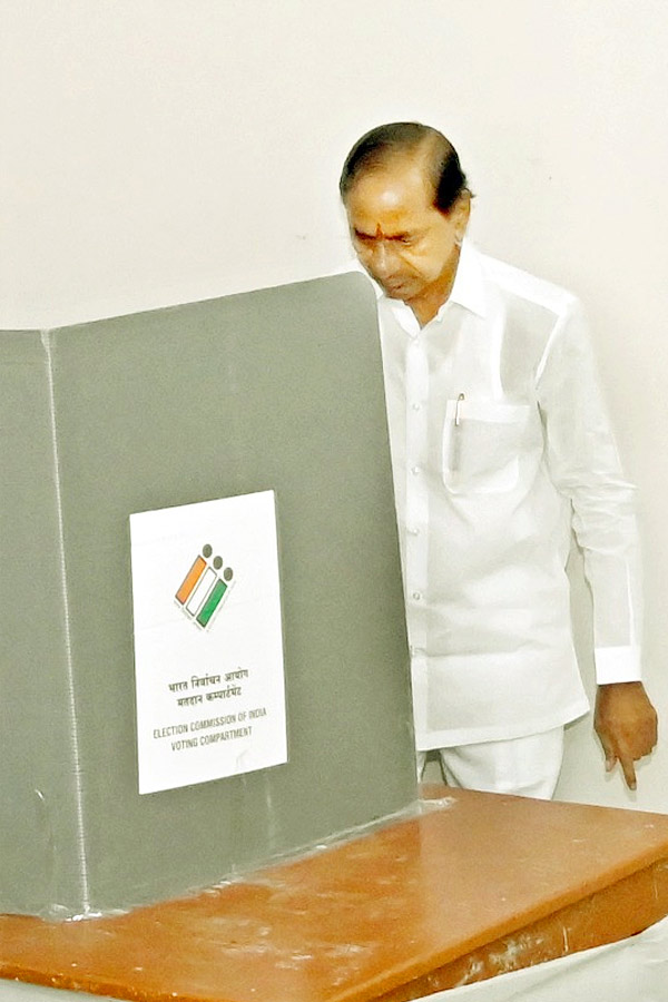 Political Leaders and Officials Cast Their Votes in Telangana Photos - Sakshi26