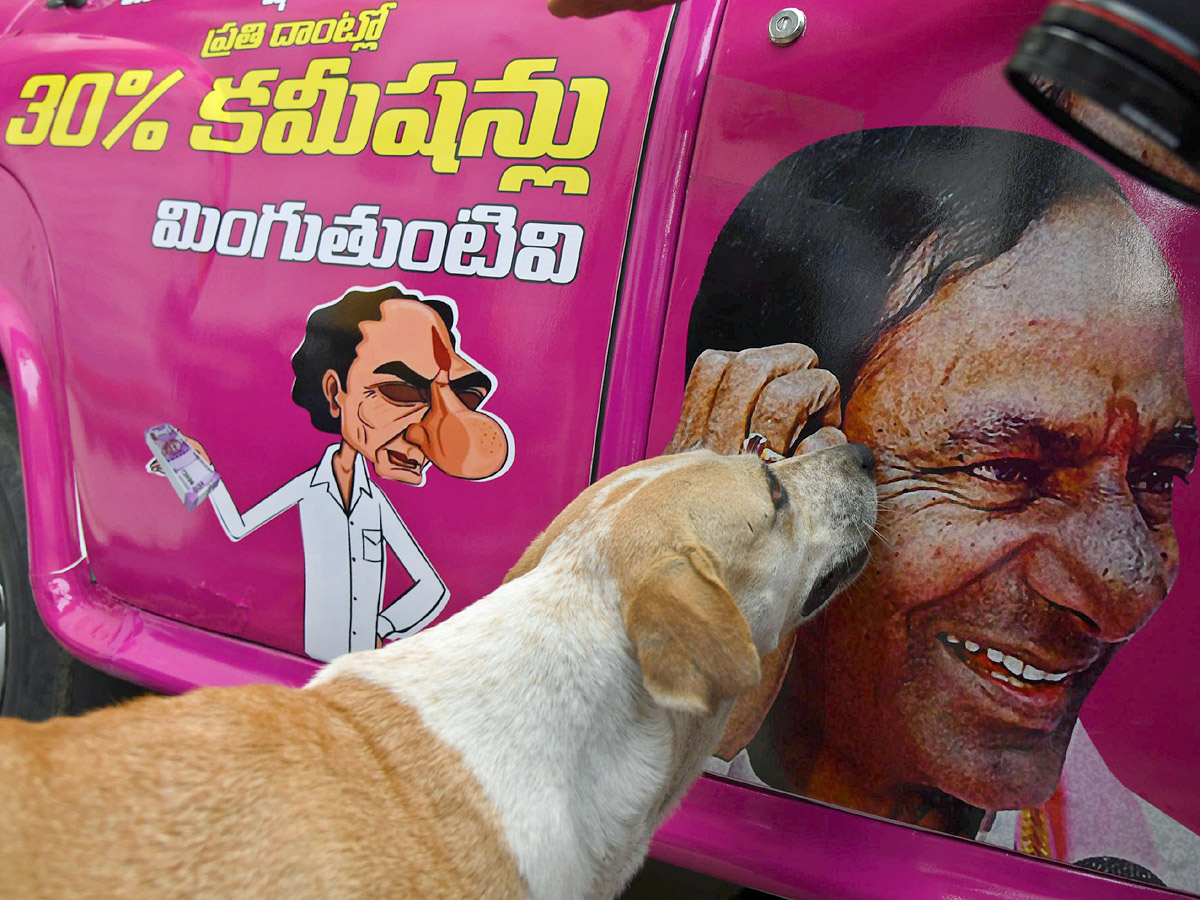 Best Photos of The Week in AP and Telangana Photo Gallery - Sakshi1