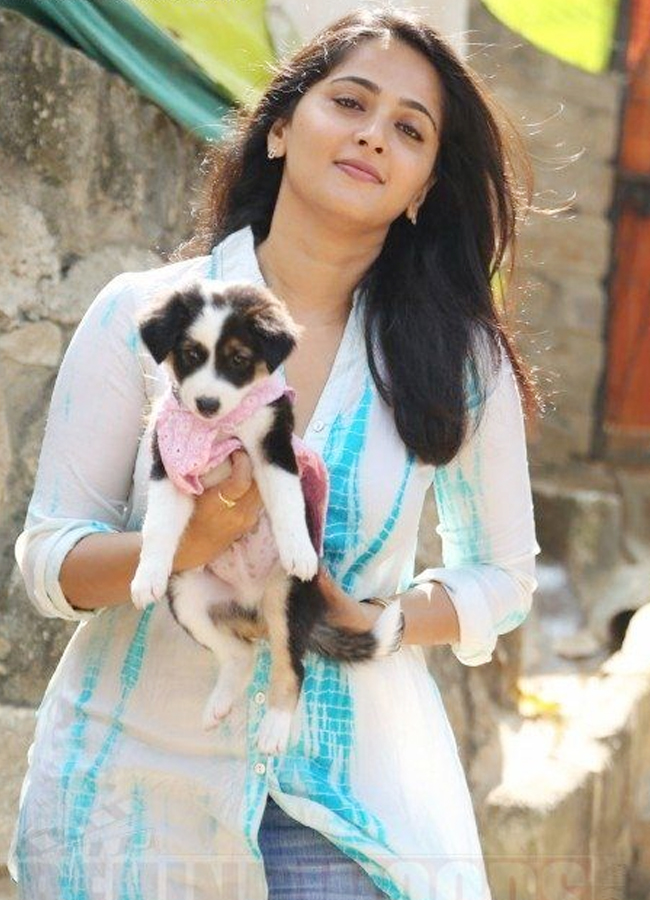 Super Heroine Anushka Shetty Birthday Special Photos - Sakshi16