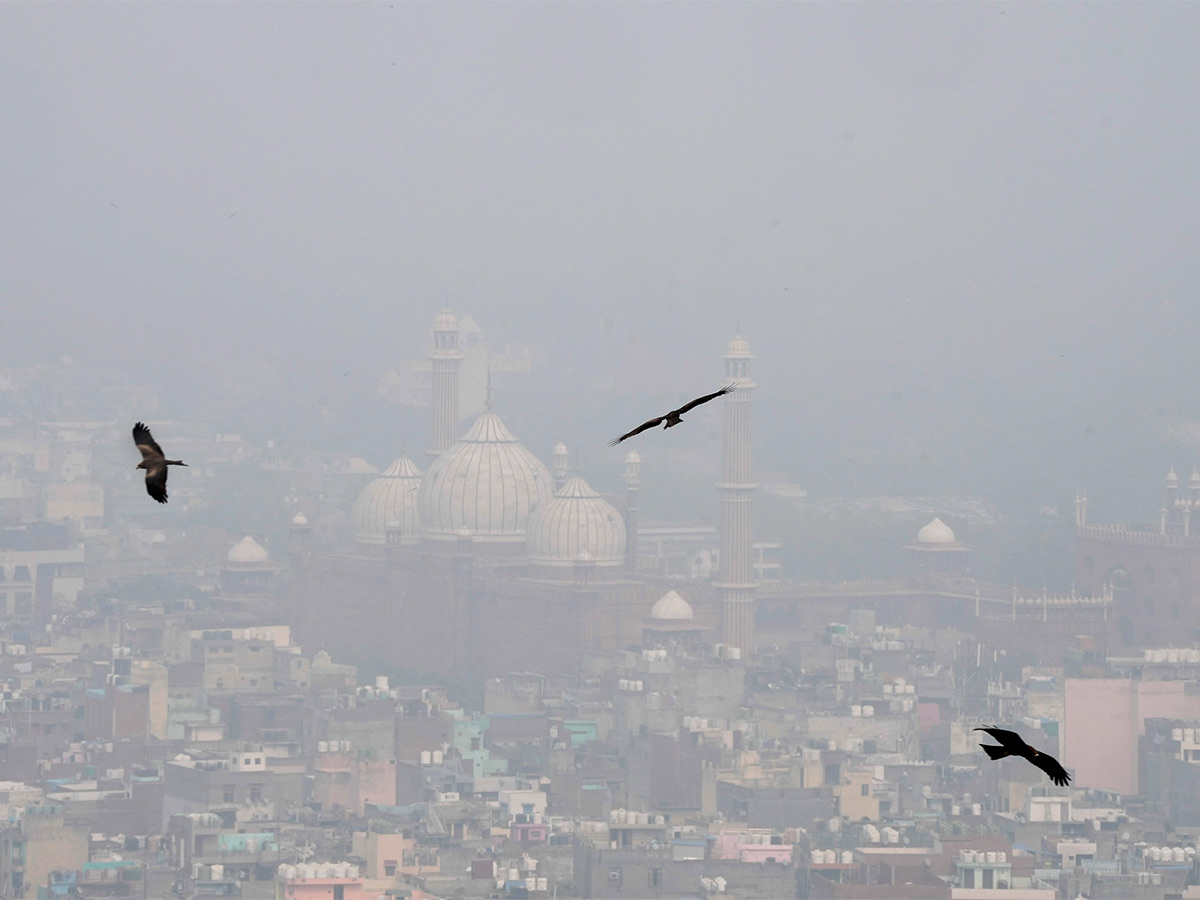 Delhi People Suffering Dangerous Air Pollution Photos - Sakshi14