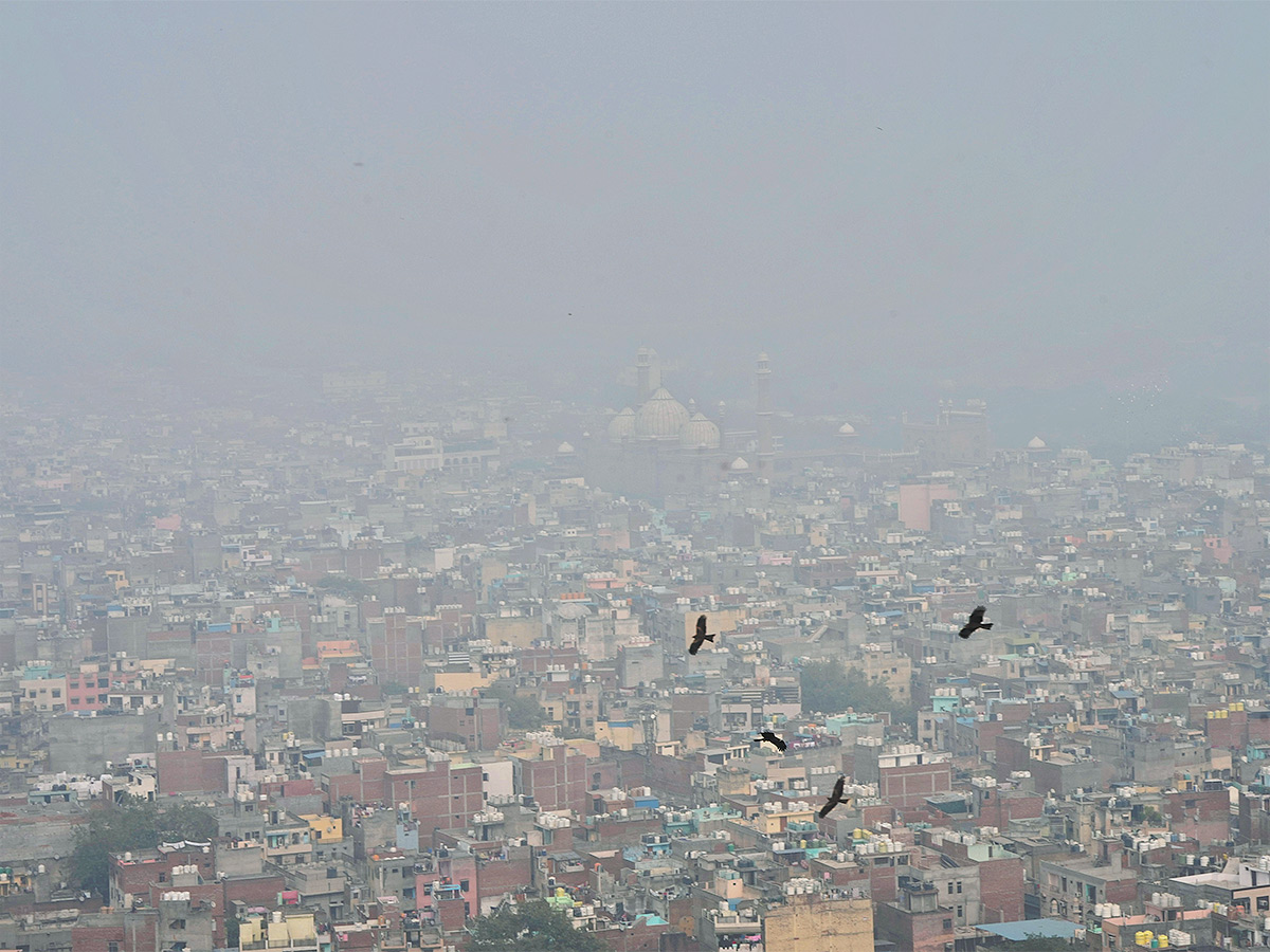 Delhi People Suffering Dangerous Air Pollution Photos - Sakshi4