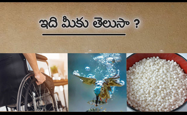 Do You Know These Facts - Sakshi1