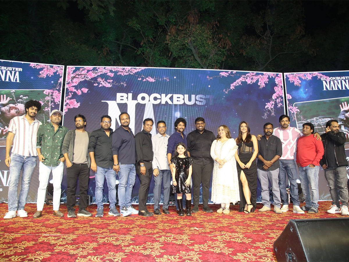 Hi Nanna Movie Success Celebrations Pics - Sakshi24