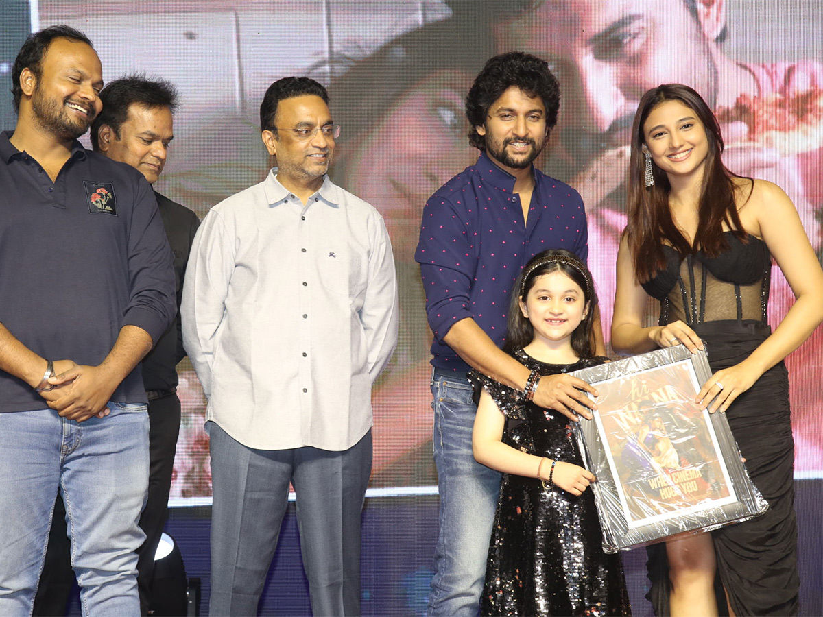 Hi Nanna Movie Success Celebrations Pics - Sakshi1