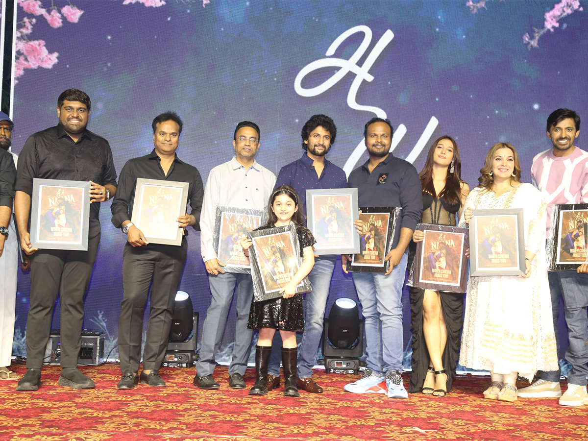 Hi Nanna Movie Success Celebrations Pics - Sakshi3