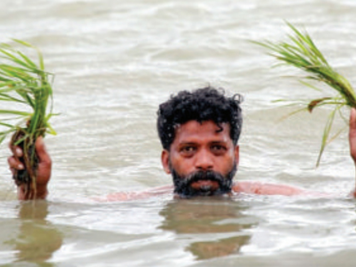 Heavy rains predicted in Tamil Nadu Pics - Sakshi14