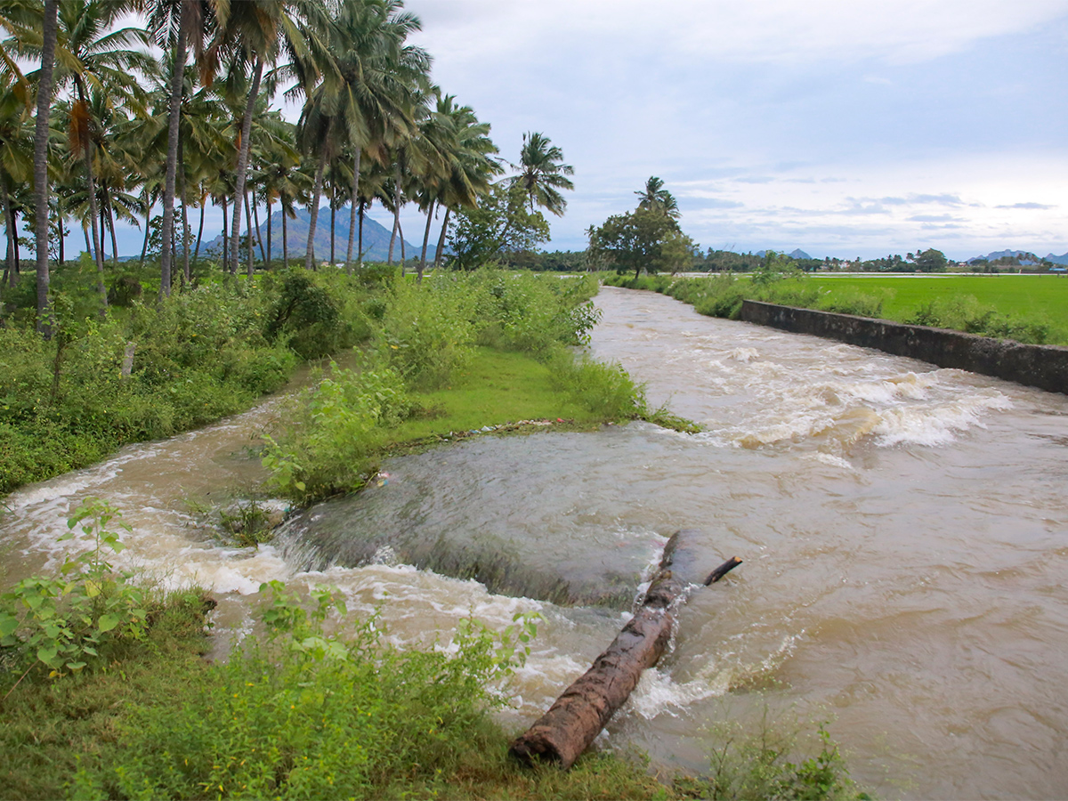 Heavy rains predicted in Tamil Nadu Pics - Sakshi21