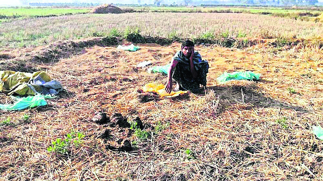 కల్లం వద్ద రోధిస్తున్న బాధిత రైతు 3