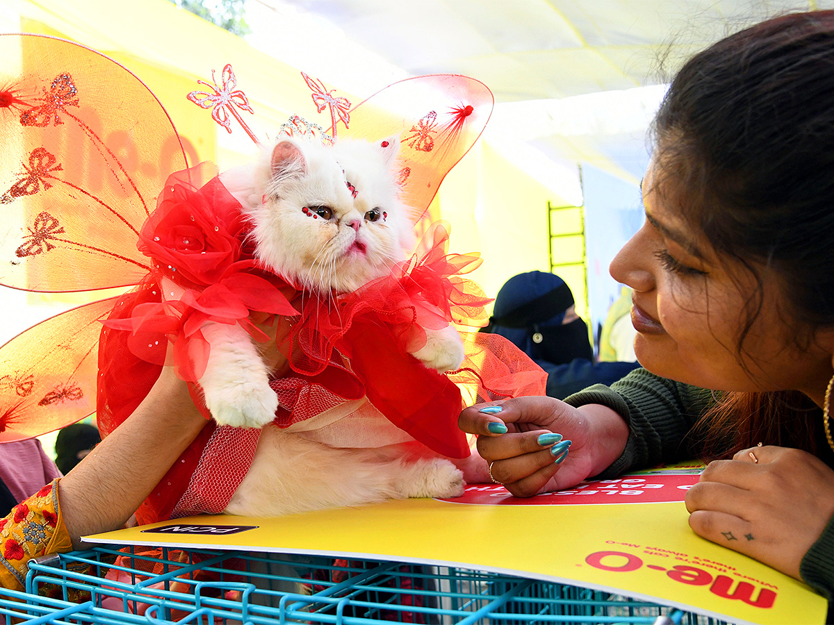 E Carnival Animal Show in hyderabad - Sakshi1