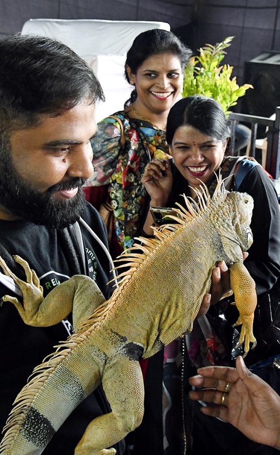 E Carnival Animal Show in hyderabad - Sakshi9