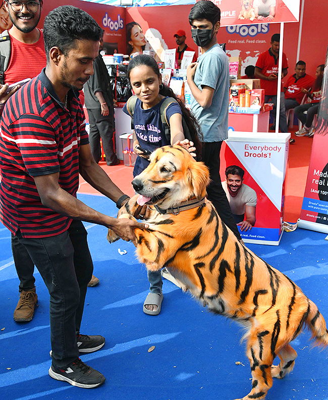 E Carnival Animal Show in hyderabad - Sakshi18