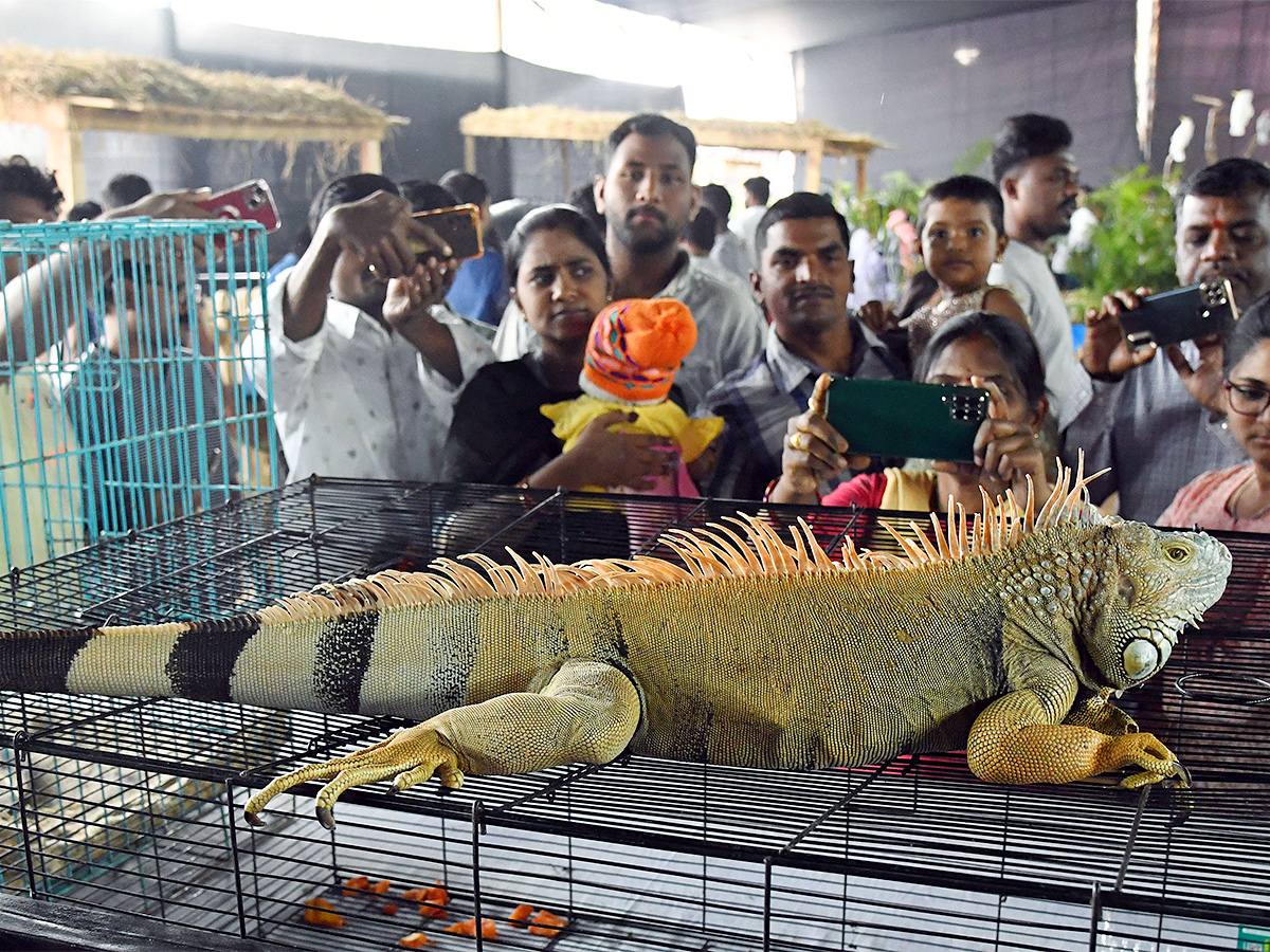 E Carnival Animal Show in hyderabad - Sakshi2