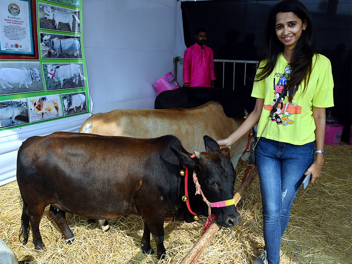 E Carnival Animal Show in hyderabad - Sakshi20