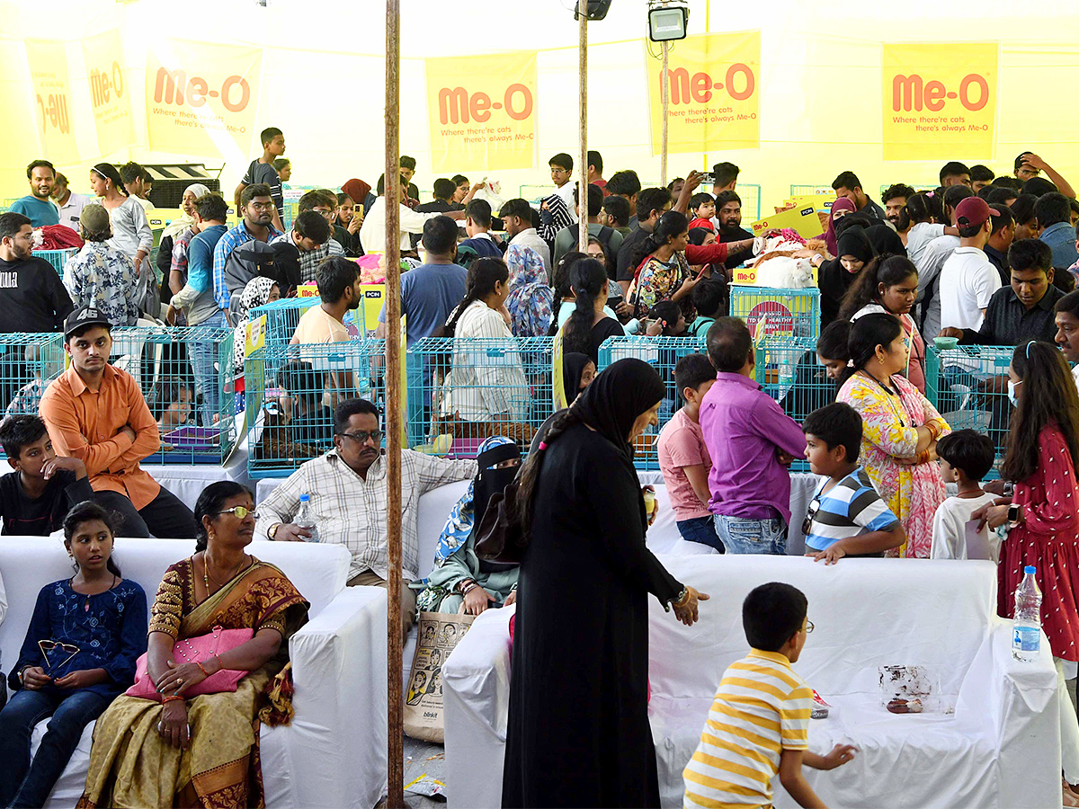 E Carnival Animal Show in hyderabad - Sakshi21