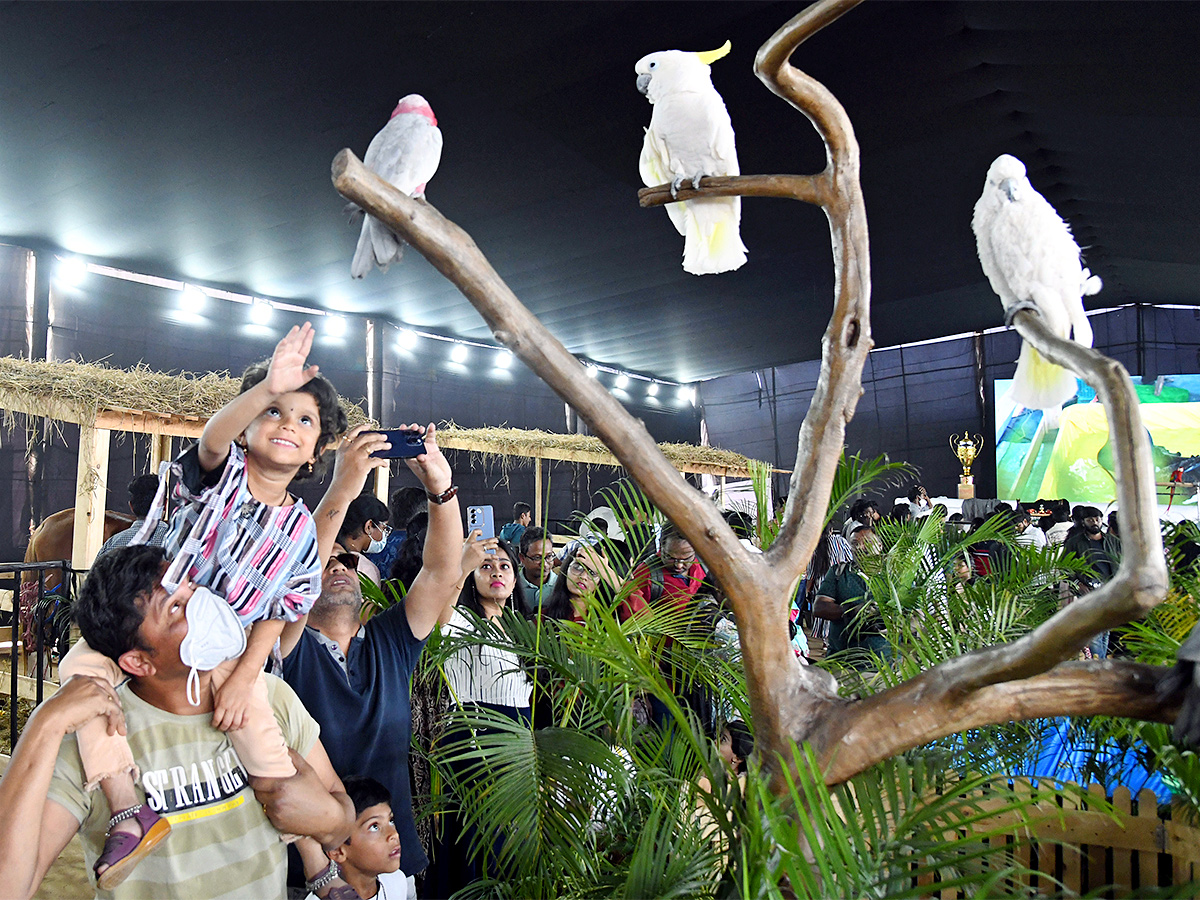 E Carnival Animal Show in hyderabad - Sakshi24