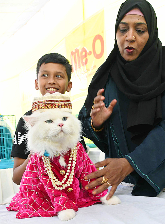 E Carnival Animal Show in hyderabad - Sakshi4