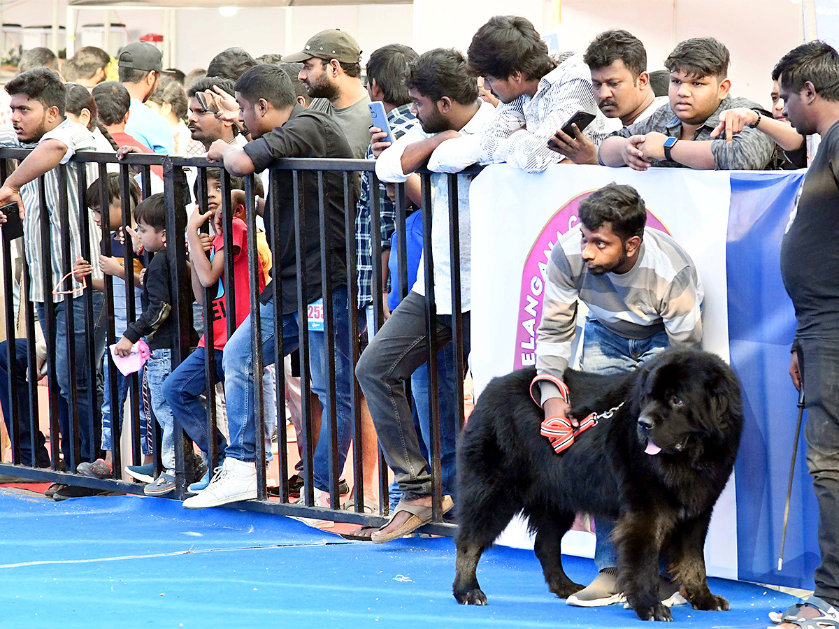 E Carnival Animal Show in hyderabad - Sakshi5