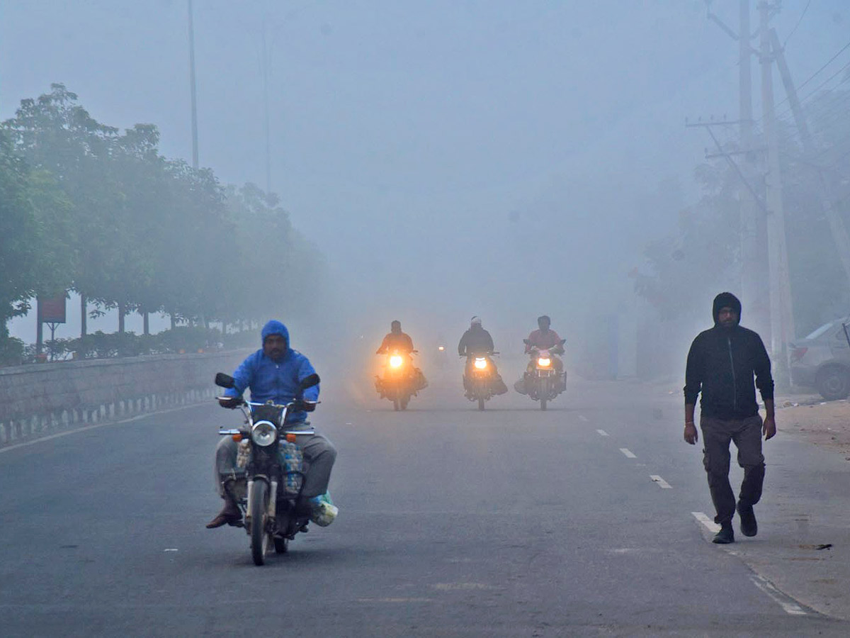 Best Photos of The Week in AP and Telangana Photo Gallery - Sakshi19