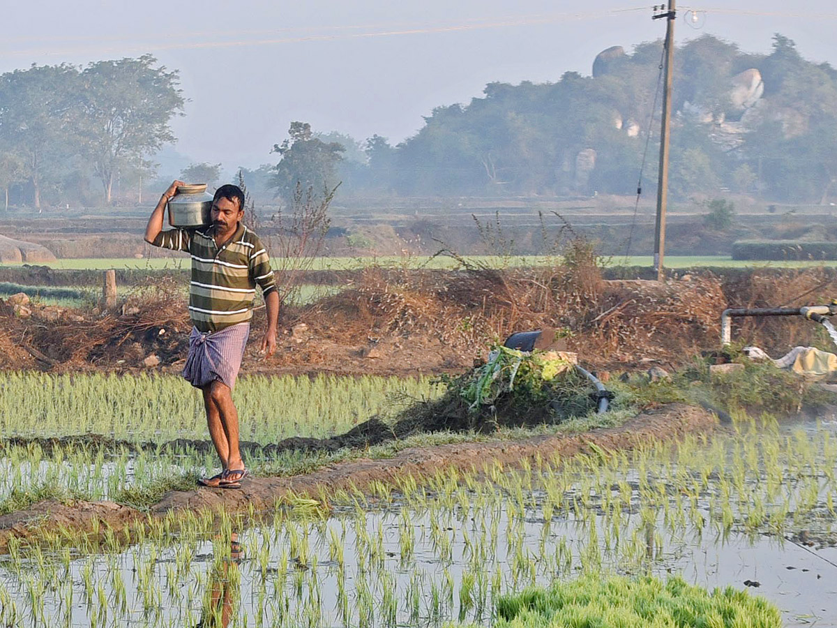 Best Photos of The Week in AP and Telangana Photo Gallery - Sakshi21