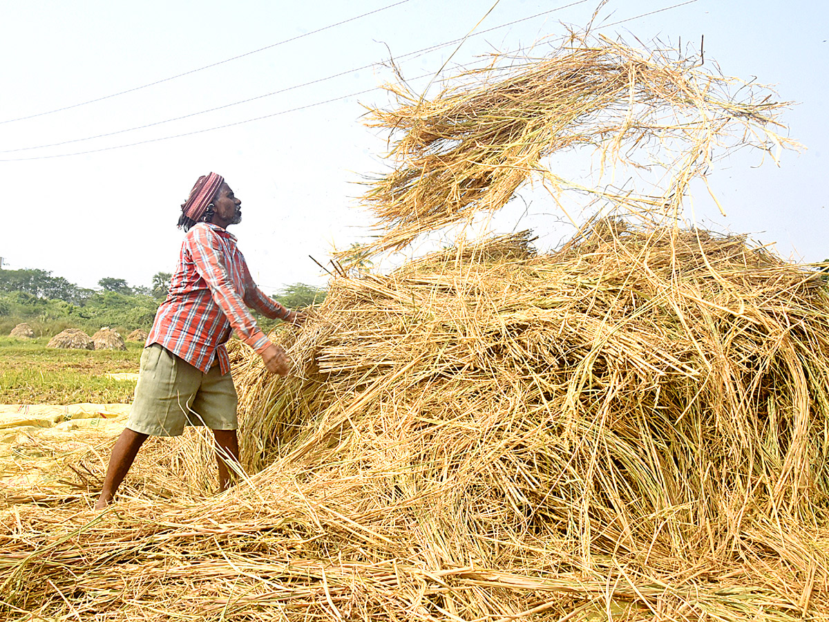 Best Photos of The Week in AP and Telangana Photo Gallery - Sakshi26