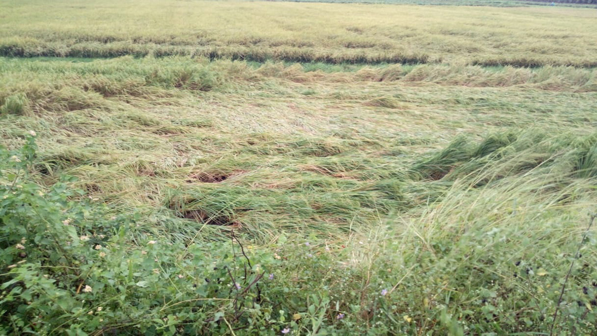 Cyclone Michaung Effect heavy rains in andhra pradesh photos - Sakshi39