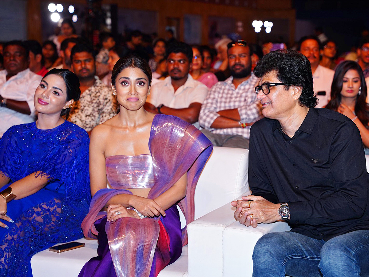 Santosham South Indian Film Awards 2023 at Goa photos - Sakshi12