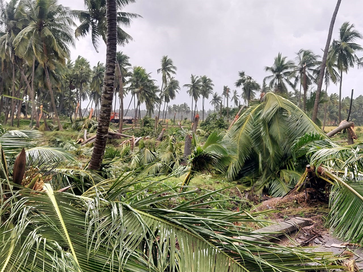 Cyclone Effect In Andhra Pradesh Photos - Sakshi22