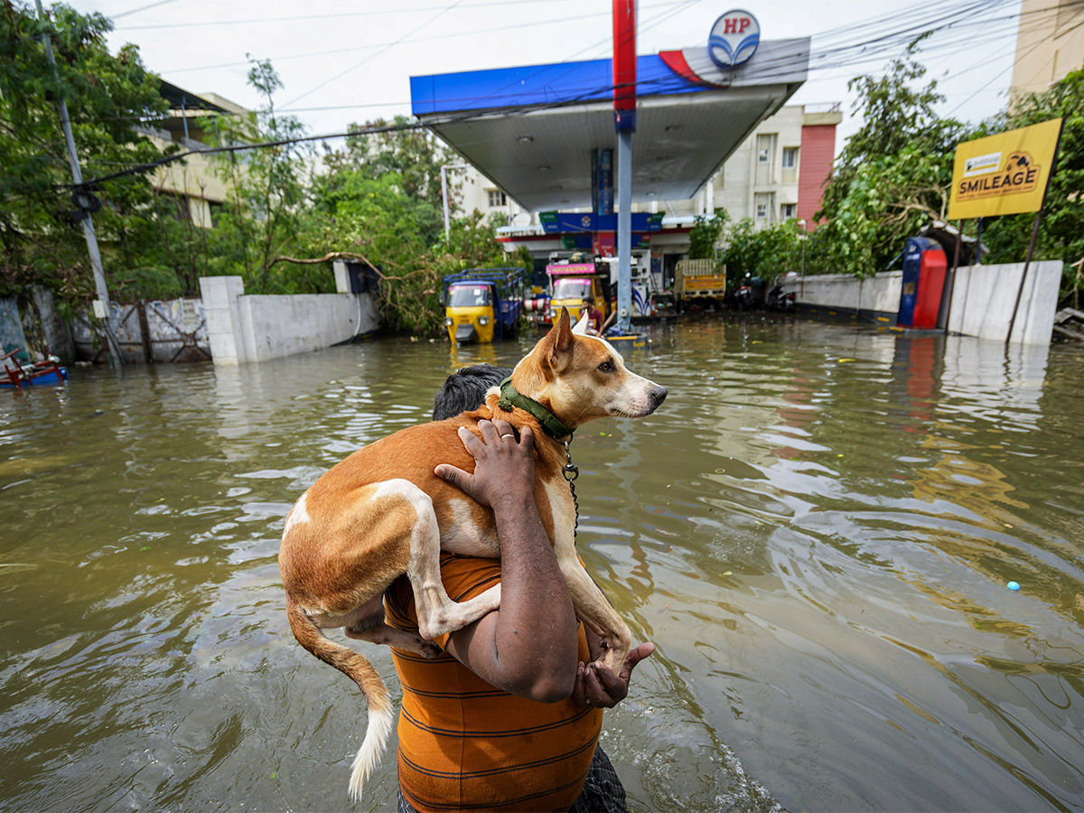 Cyclone Michaung in Chennai Pics - Sakshi19