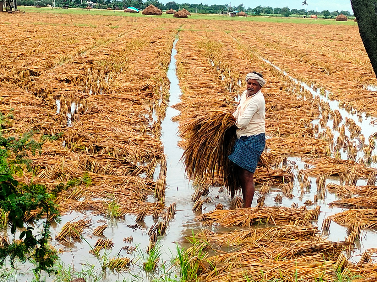 Cyclone Effect In Andhra Pradesh Photos - Sakshi31