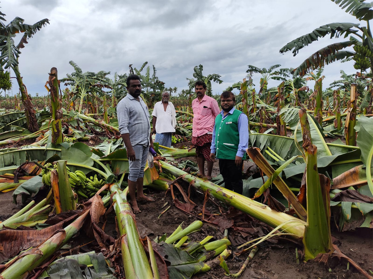 Cyclone Effect In Andhra Pradesh Photos - Sakshi36