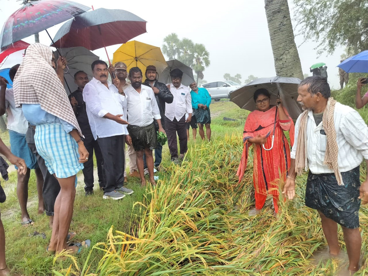 Cyclone Effect In Andhra Pradesh Photos - Sakshi38