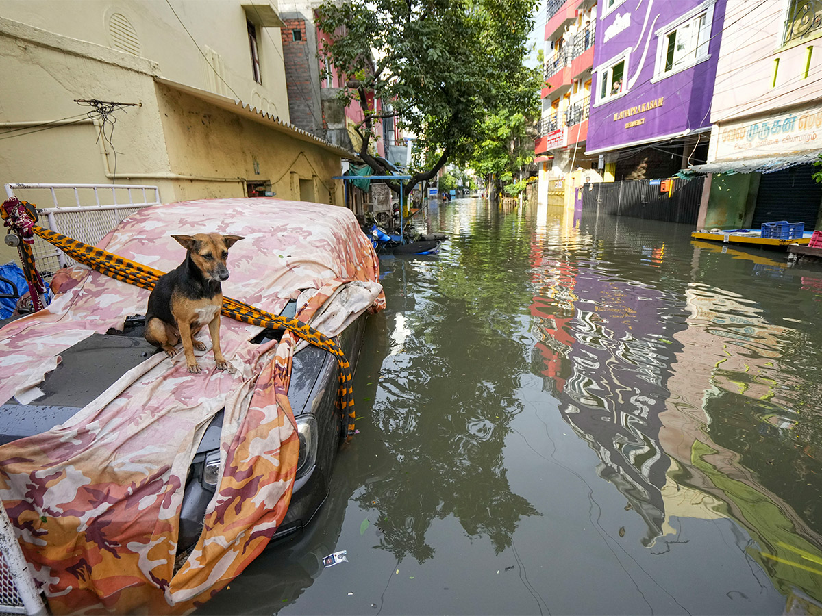 Cyclone Michaung in Chennai Pics - Sakshi34