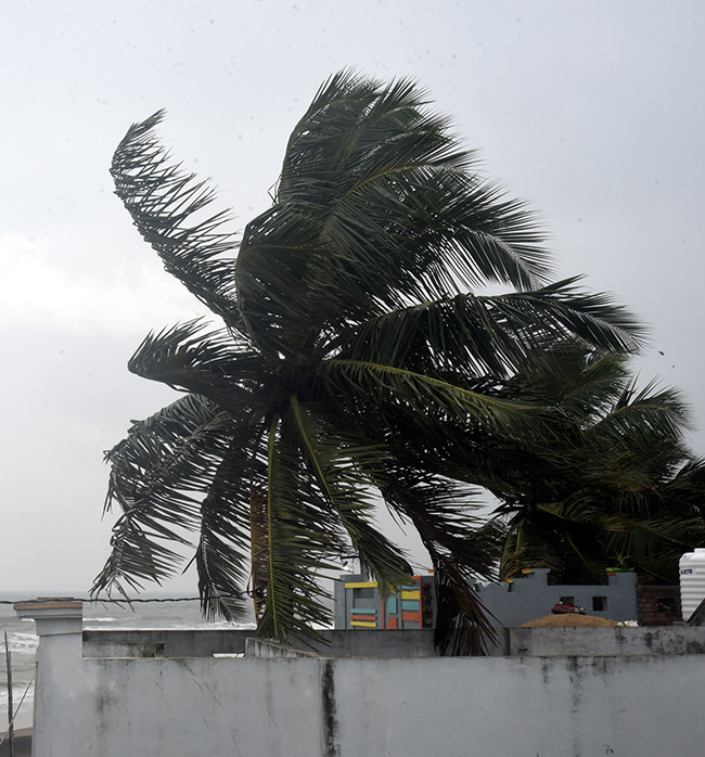 Cyclone Effect In Andhra Pradesh Photos - Sakshi15