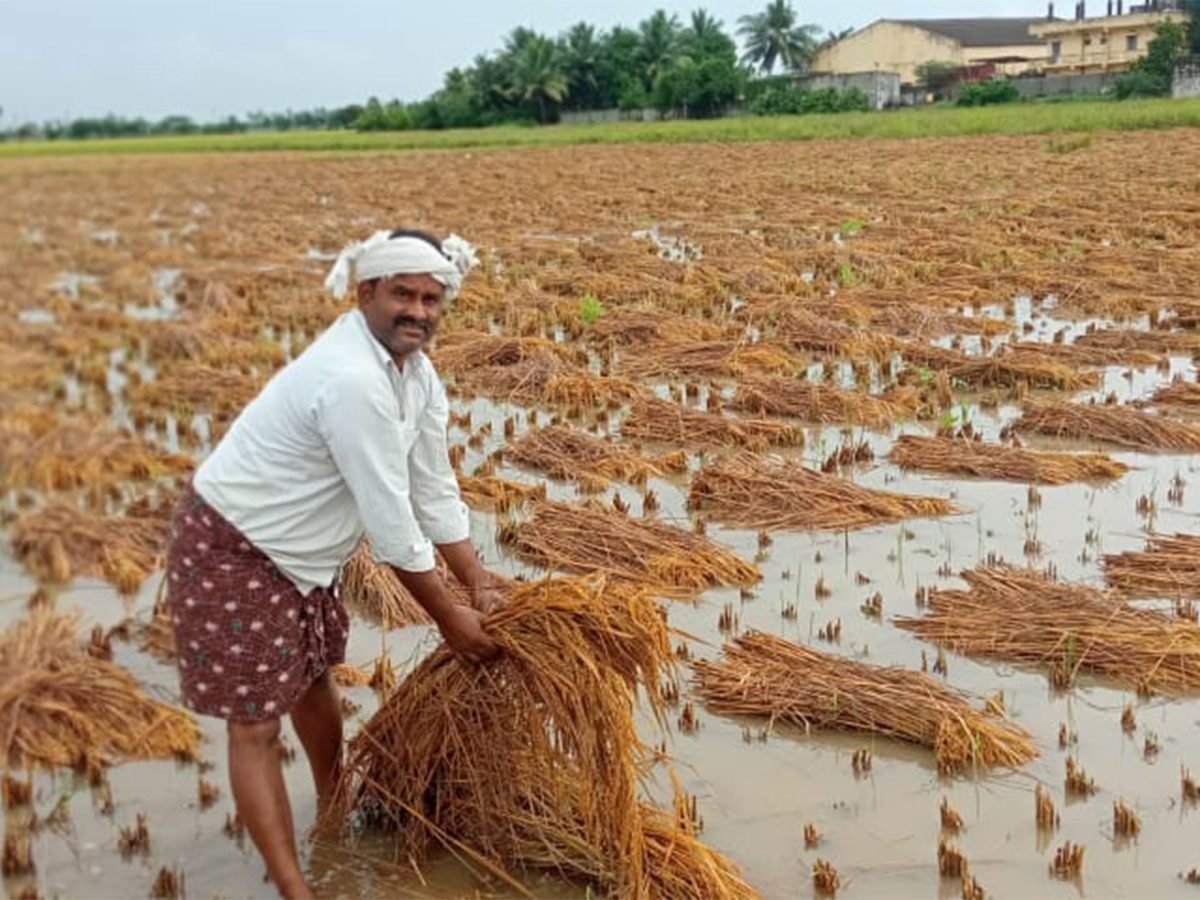 Cyclone Effect In Andhra Pradesh Photos - Sakshi4