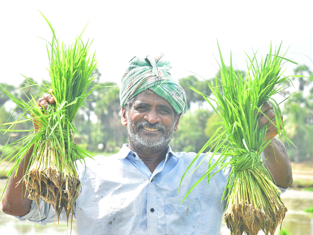 Best Photos of The Week in AP and Telangana Photo Gallery - Sakshi25