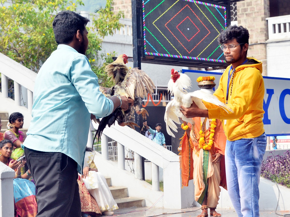 Pre Sankranti Celebrations In Vijayawada - Sakshi14