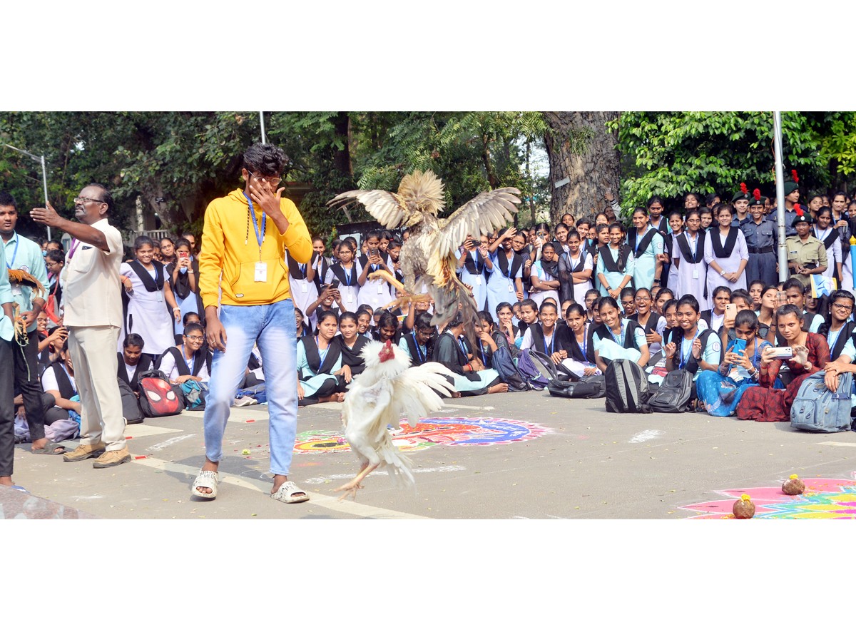 Pre Sankranti Celebrations In Vijayawada - Sakshi15