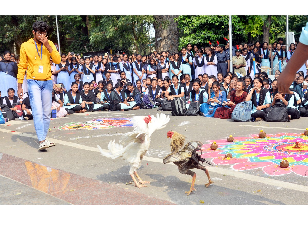 Pre Sankranti Celebrations In Vijayawada - Sakshi16