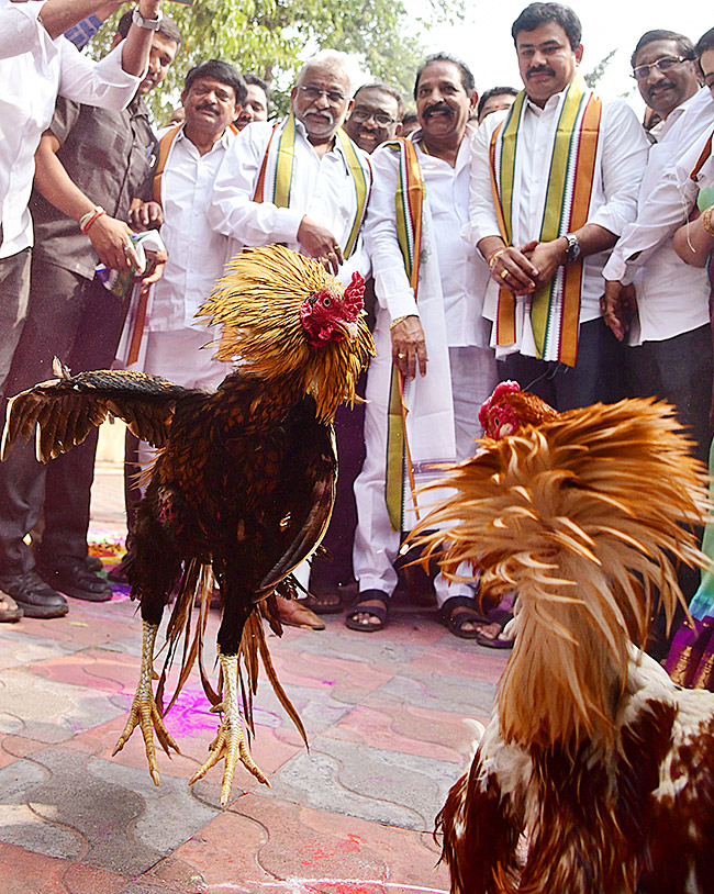 sankranthi celebrations 2024 in visakhapatnam pics - Sakshi25