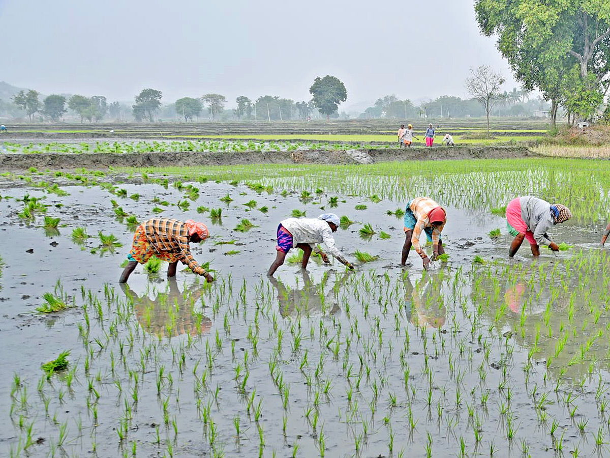 Best Photos of The Week in AP and Telangana Photo Gallery - Sakshi25